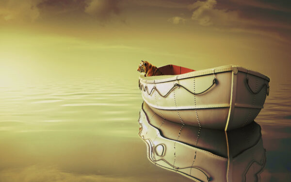 Wallpaper Tiger, Boat, Life