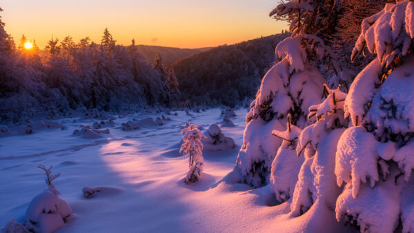 Wallpaper Sunrise, Winter