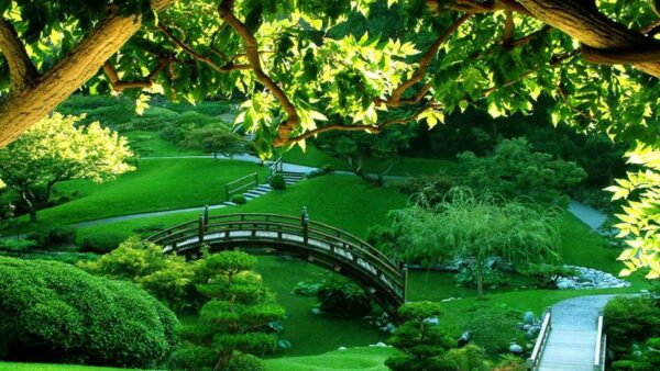 Wallpaper Scenery, Beautiful, Green, Garden