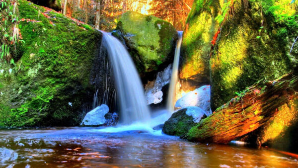 Wallpaper Pouring, Green, Nature, Covered, Algae, River, Waterfalls, Rocks, Between, Background, Forest