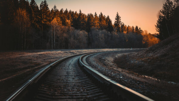 Wallpaper Autumn, Trees, Railway, Desktop, Mobile, Forest, Between, Sunrise, Track, Spring, During, Green, Nature