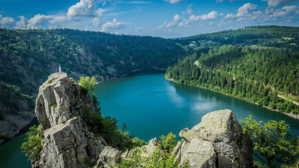 Wallpaper Mountains, View, Trees, Mobile, Path, Bushes, Green, Desktop, Forest, Nature, Plants, River, Aerial