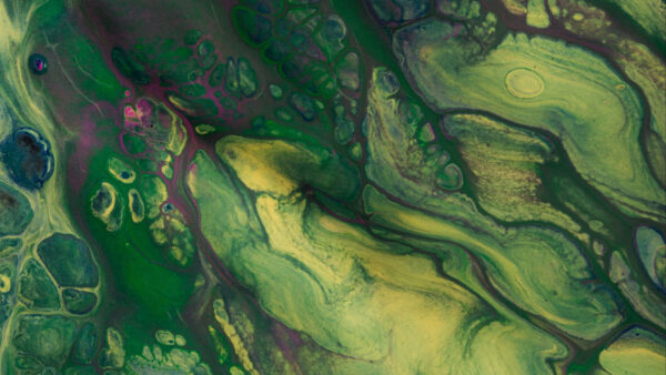 Wallpaper Green, Paint, Purple, Abstract, Mixing, Stains