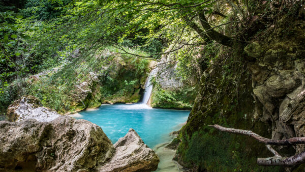 Wallpaper Desktop, Trees, Mobile, Surrounded, Green, Waterfall, Nature, Pouring, Bushes, Rocks, Lake