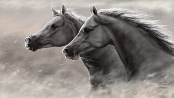 Wallpaper Desktop, Artistic, Horse