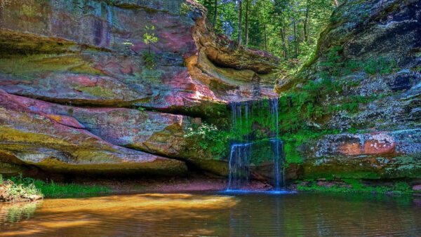 Wallpaper With, View, Pouring, Waterfall, Rocks, Landscape, Scenery, Covered, Nature, Algae, Lake, Trees