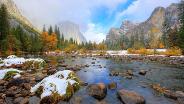 Wallpaper Nature, Mountains, Body, Snow, Trees, Green, Water, Stones, With, Autumn, Fog, Yellow