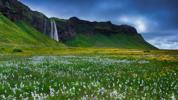 Wallpaper Mountains, Under, Rock, View, Waterfalls, And, Blue, Yellow, White, Sky, Landscape, Flowers, From, Nature, Closeup, Field