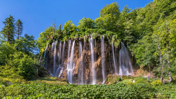 Wallpaper Sky, Waterfalls, Blue, Plants, Rock, Background, From, Green, Trees, Bushes, Nature