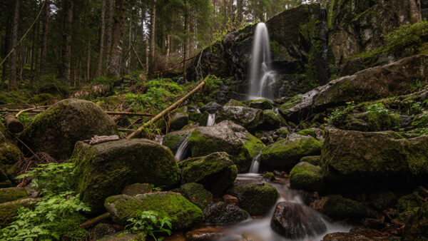 Wallpaper Stones, Forest, Water, Rock, Background, Nature, Green, From, Algae, Covered, Stream, Waterfall