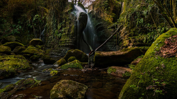 Wallpaper Waterfall, Trees, Beautiful, Nature, Algae, Rocks, Covered, Green, Stones