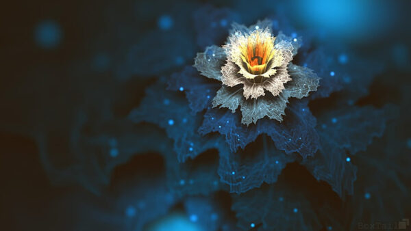 Wallpaper Dark, Flower, Fractal, Abstraction, Glare, Blue