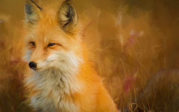 Wallpaper Artwork, Fox, Paint