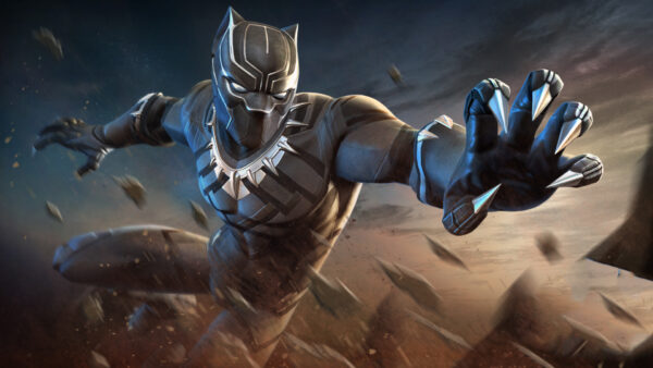 Wallpaper Black, Champions, Marvel, Contest, Panther