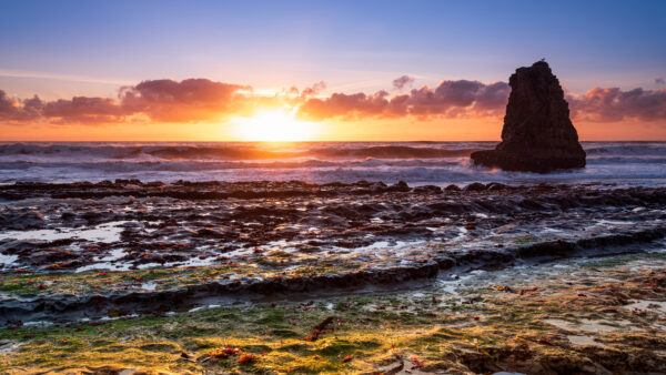 Wallpaper Sunrise, Beach