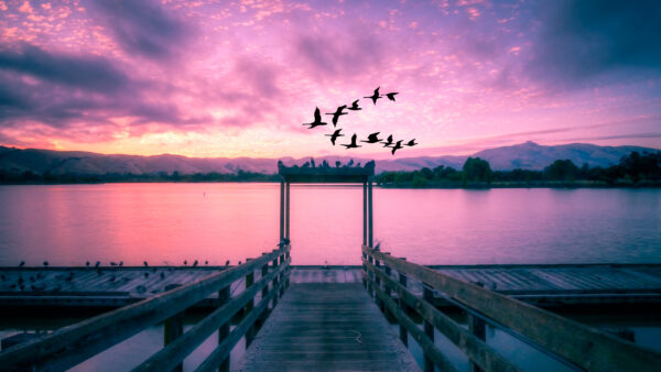 Wallpaper Sunset, Scenic, Lakeview