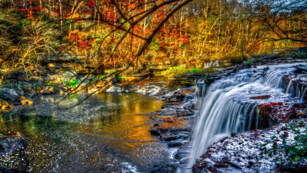 Wallpaper Nature, River, Pouring, Beautiful, Waterfall, Forest