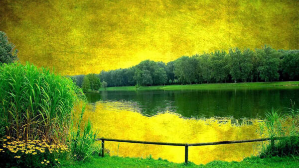 Wallpaper Desktop, Nature, Covered, Green, Forest, River, Trees, Between