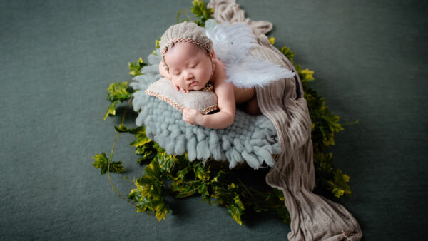 Wallpaper Knitted, Cute, Desktop, Bed, Fur, Cloth, Mobile, Sleeping, Woolen, Covered, Ash, Baby, With, NewBorn