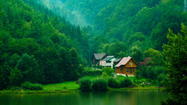 Wallpaper Nature, Bushes, Scenery, Photography, Lake, Green, Beautiful, Trees, Wood, Houses