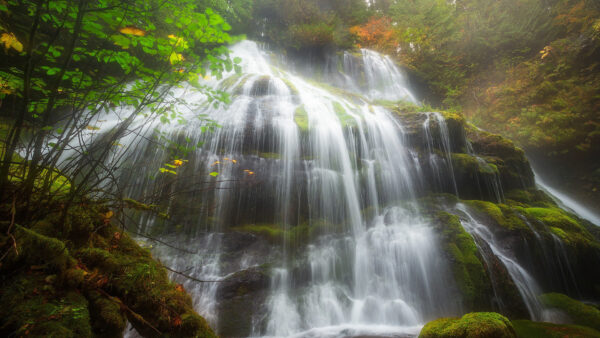 Wallpaper Trees, Green, Rock, Near, Desktop, Waterfall, Covered, Nature