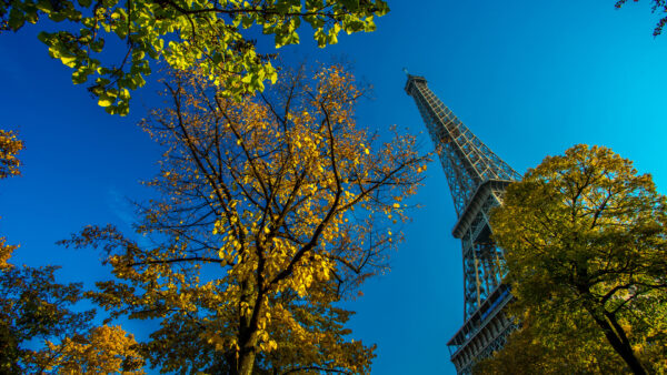 Wallpaper Trees, Sky, Blue, Desktop, Paris, And, Tower, With, Side, Eiffel, Travel