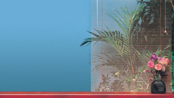 Wallpaper Pink, Plant, Vaporwave, Desktop, Flowers