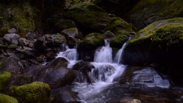 Wallpaper Stream, Nature, Algae, Mobile, Desktop, Stones, Covered, Waterfall