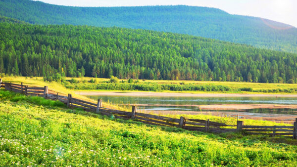 Wallpaper Background, Mountains, Forest, Nature, Lake, Trees, Green, Fence, Field, Grass