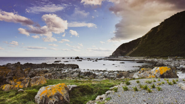 Wallpaper Nature, Mobile, Field, Ocean, Desktop, Greenery, Mountains, Landscape, Stones, View, Grass