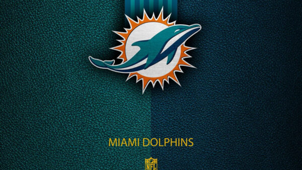 Wallpaper Dolphins, Logo, NFL, Miami