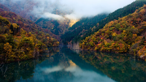 Wallpaper Green, Yellow, Orange, Covered, Trees, Mountains, With, Leaves, Slope, Autumn, Fog, River, Reflection