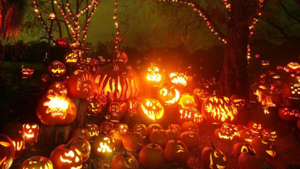 Wallpaper Lights, Pumpkins, Faces, Trees, Celebration, Colorful, Halloween