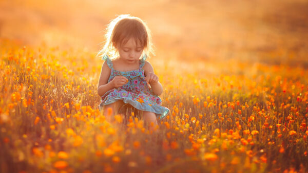 Wallpaper Cute, Little, Dress, Printed, Girl, Field, Yellow, Wearing, Sitting, Blue, Pink, Flowers