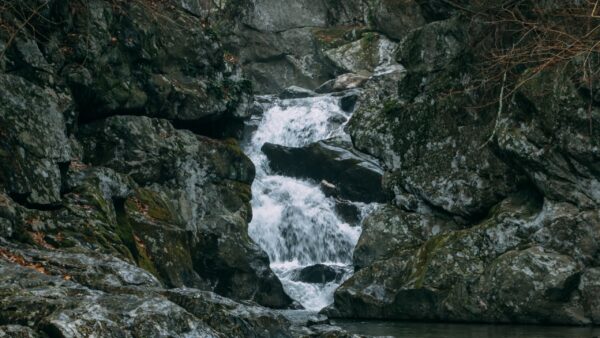 Wallpaper Algae, Waterfall, Nature, Covered, Rocks, Between, Stones, Stream