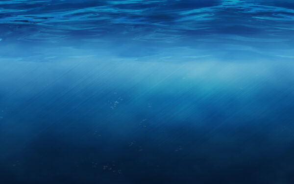 Wallpaper Underwater