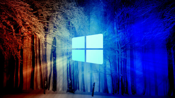 Wallpaper Forest, Desktop, Windows, Technology, Snow