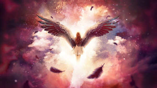 Wallpaper Wings, Angel