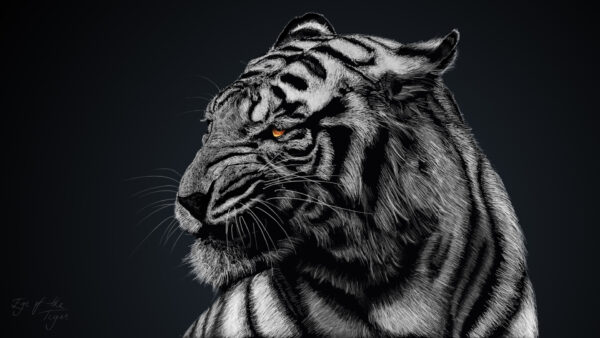 Wallpaper Tiger, Artwork