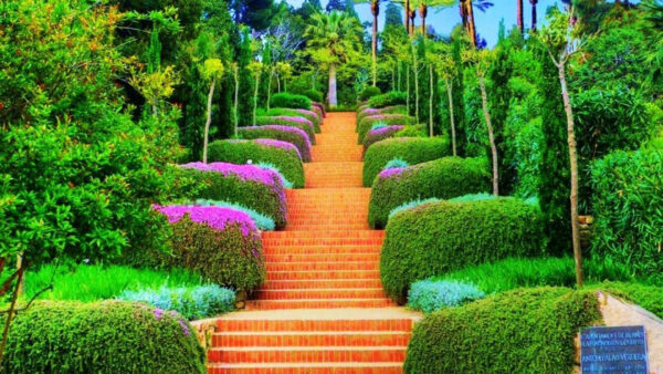 Wallpaper Nature, Between, Desktop, Steps, Plants, Colorful, Trees, Surrounded, Garden