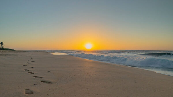 Wallpaper Sand, During, Beach, Ocean, Sunset, Footprints, Waves