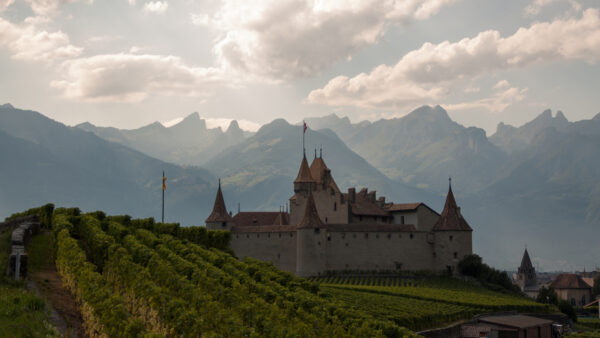 Wallpaper Switzerland, Castle, Travel, Aigle, Alps, Mountain, Desktop, Vineyard