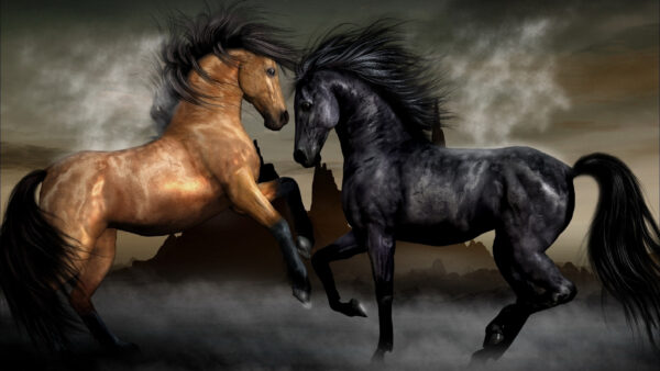 Wallpaper Black, Horses, And, Horse, Desktop, Brown