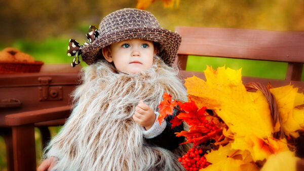 Wallpaper Leaves, Sitting, Cute, Autumn, Basket, Colorful, Little, Wood, Wearing, Dress, Big, Boy, With, Hat, Bench, And