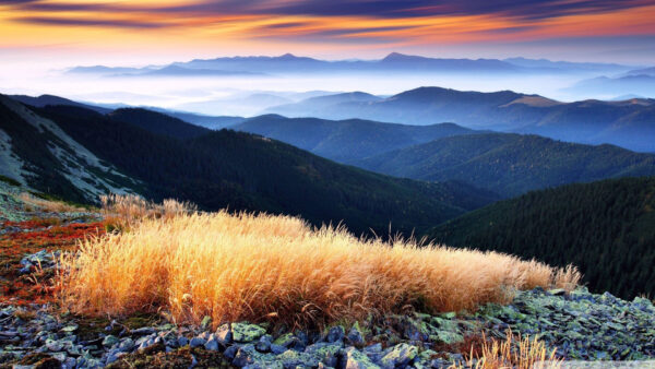 Wallpaper Yellow, Black, Mountains, Fog, Beautiful, With, Desktop, Slope, Sky, Cloudy, Under, Greenery