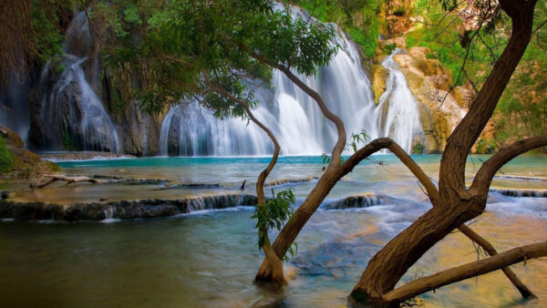 Wallpaper Body, Water, Nature, Waterfalls, River, Rock, Beautiful, Covered, Poruing, And, Trees