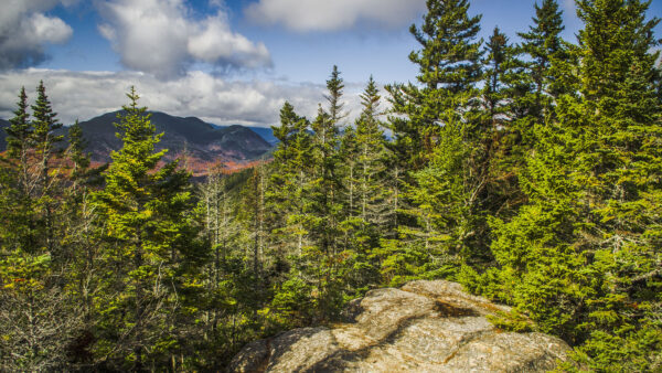 Wallpaper Mountains, Spruce, Nature, Blue, Rock, Sky, Trees, Background, Desktop, Mobile, Under, Black, Clouds, White, Green