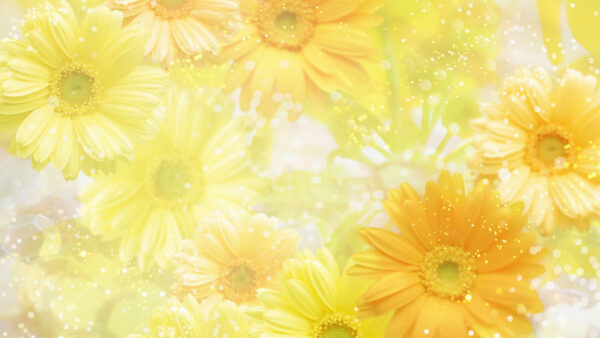 Wallpaper Desktop, Yellow, Flowers, Blur
