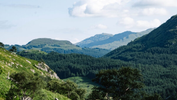 Wallpaper Plants, Bushes, Trees, White, Green, Nature, Desktop, Mobile, Sky, Clouds, Background, Slope, Mountains, Blue
