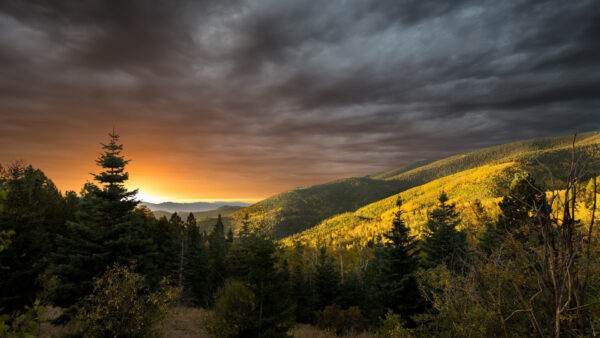 Wallpaper Sunbeam, Bushes, Green, Under, Trees, Mountains, Nature, Beautiful, Clouds, Black, With, Slope, Scenery, Plants, Sky